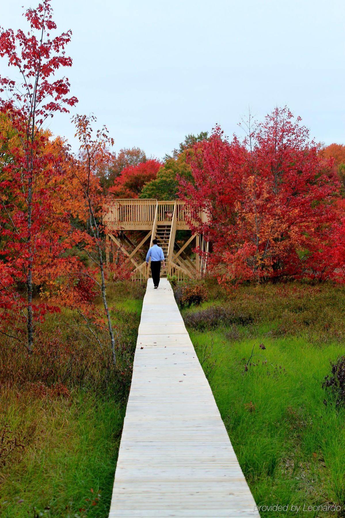 新斯科舍鳟鱼点山林小屋 East Kemptville 外观 照片